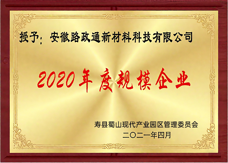 2020年度规模企业